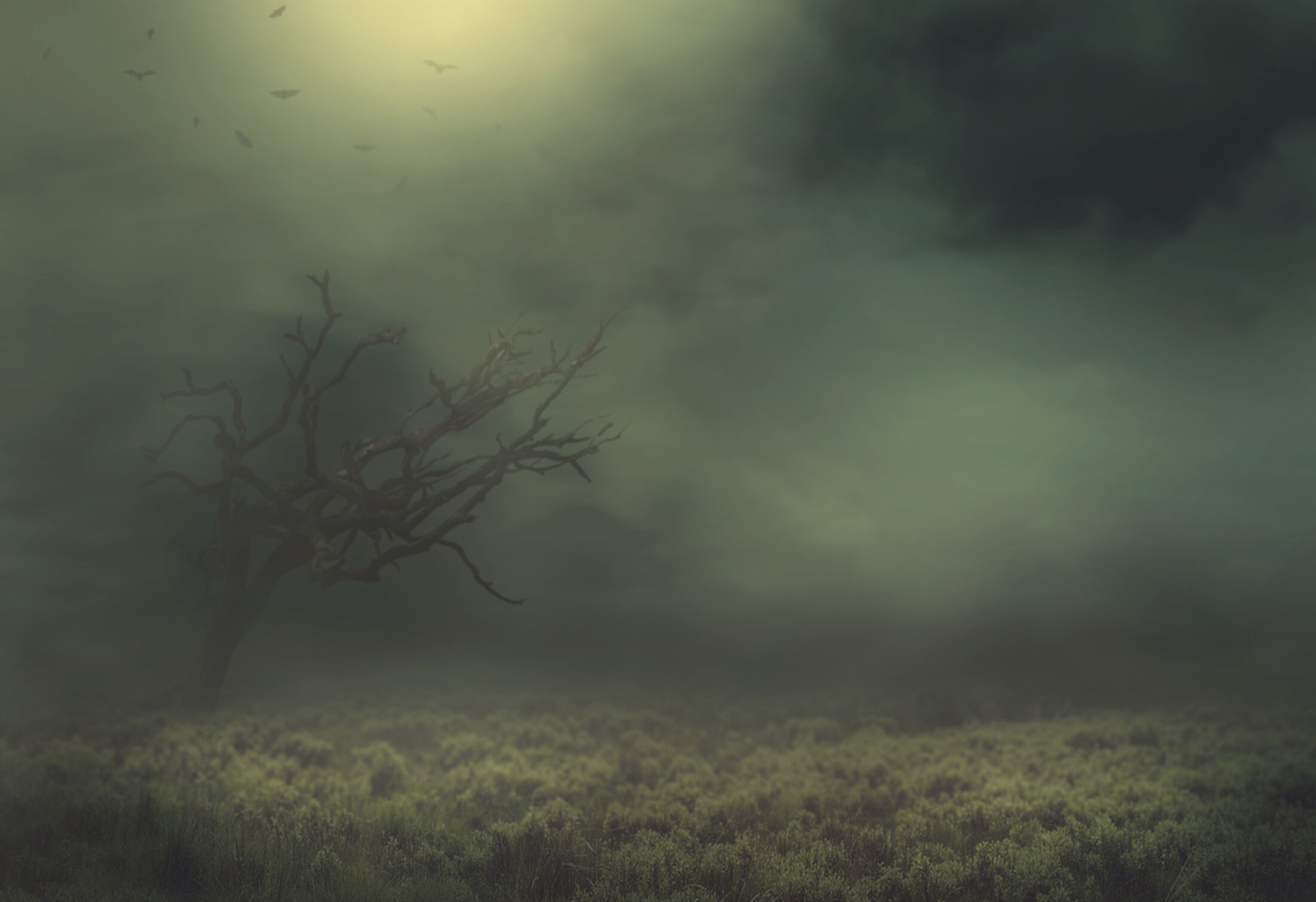 Baum im dunklen Nebel auf einer Wiese 
