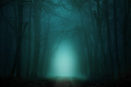 Geheimnisvoller Waldweg