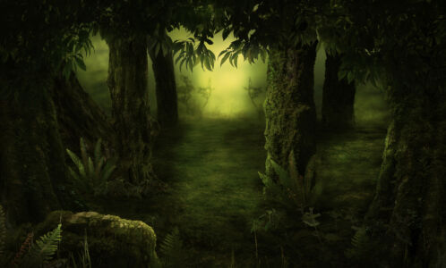 Background-Mystische-Waldlichtung