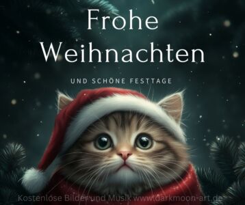 Frohe Weihnachten - Weihnachtskarte mit Katze