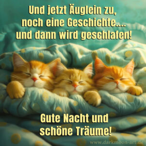 Gute Nacht Bild Mit Niedlichen Katzen