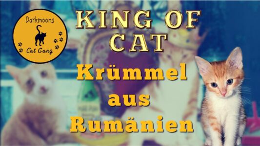 Krümmel Aus Rumänien