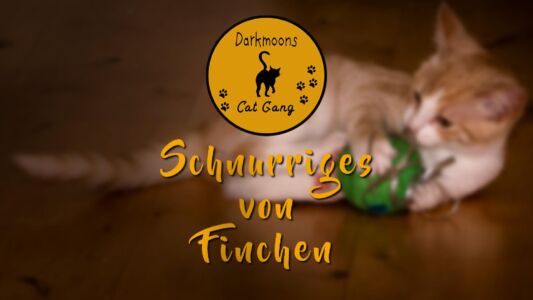 Schnurriges Von Finchen