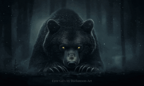 Waiting Bear In Dark Forest