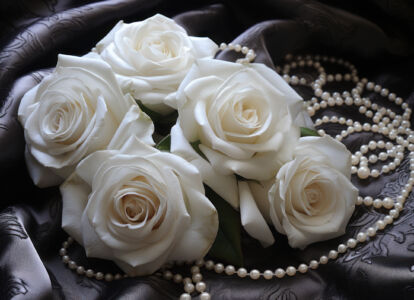 Weisse Rosen Auf Schwarzem Tuch Hintergrundbild